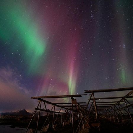 Fish Factory -The Real Lofoten Experience Болстад Екстериор снимка