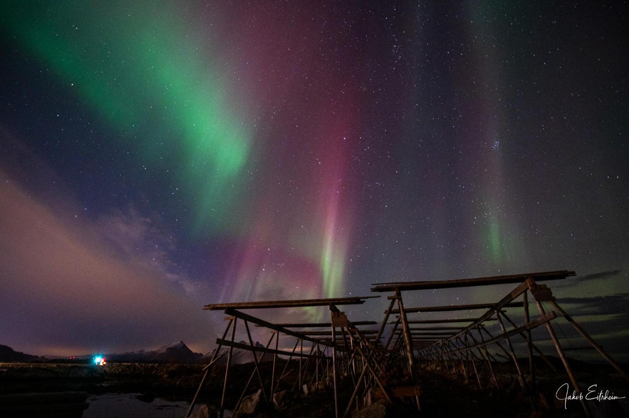 Fish Factory -The Real Lofoten Experience Болстад Екстериор снимка